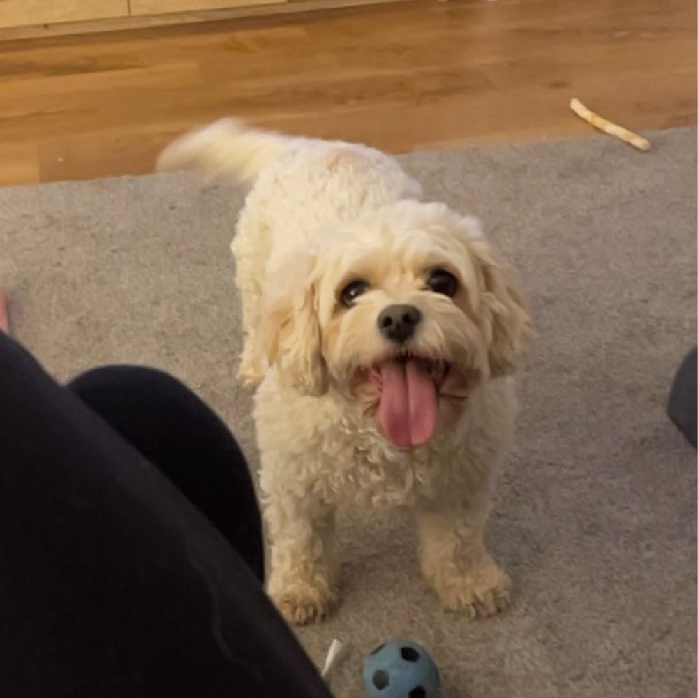 "Help my mama get 1000 followers!!!!Give likes!!!Please!!!Happy mama happy life"